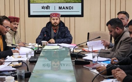 हिम कृषि योजना के तहत मंडी जिला में व्यय होंगे 1.80 करोड़ रुपये : अपूर्व देवगन