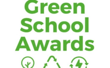 प्रदेश भर में सोलन ने एक बार फिर ग्रीन स्कूल में पाया पहला स्थान 