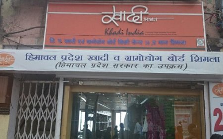 खादी एवं ग्रामोद्योग बोर्ड की आय बढ़ाने के लिए बोर्ड की संपत्तियों को किराये पर देगी हिमाचल सरकार 