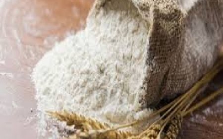 मक्की के बाद अब प्राकृतिक खेती से तैयार गेहूं का आटा डिपुओं में बेचकर मुनाफा कमाएगी प्रदेश सरकार 