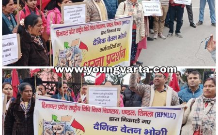 सीटू के बैनर तले दैनिक भोगी कर्मचारियों ने उपायुक्त कार्यालय शिमला के बाहर किया प्रदर्शन   