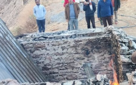 घासणी में आग लगने से गोशाला तक पहुंची आग, जिंदा जले चार मवेशी