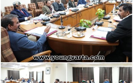 हिमाचल में भांग की खेती को वैध बनाने की सैद्धांतिक मंजूरी , प्रदेश मंत्रिमंडल ने लगाई मुहर