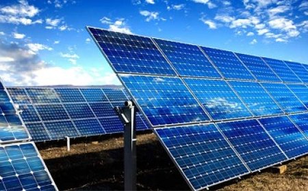 प्रदेश पावर कारपोरेशन ने 23 मेगावाट क्षमता की सोलर परियोजनाओं का किया आबंटन