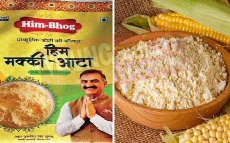 देशभर में बड़ी प्राकृतिक खेती से तैयार हिमाचल की मक्की आटा की मांग , हिमईरा वेबसाइट पर दूसरे राज्यों से आए 90 फीसदी ऑर्डर 