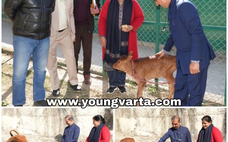 सरकारी चिकित्सा महाविद्यालयों के कॉमन कैडर से सुनिश्चित होगी बेहतर चिकित्सा शिक्षा और गुणवत्तापूर्ण स्वास्थ्य सेवाएं : सीएम