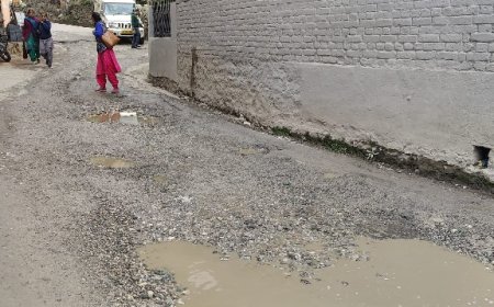 दाड़लाघाट-कंसवाला लिंक रोड पर शिव मंदिर के पास सड़क में पानी का रिसाव होने से ग्रामीण परेशान 