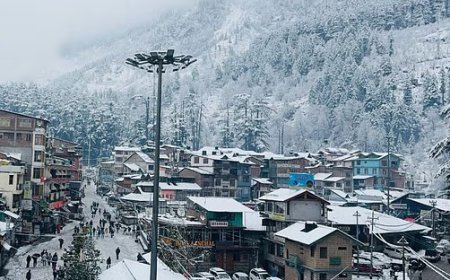 प्रदेश में बारिश-बर्फबारी के बीच 500 से ज्यादा ट्रांसफर ठप होने से कई इलाकों में बिजली गुल