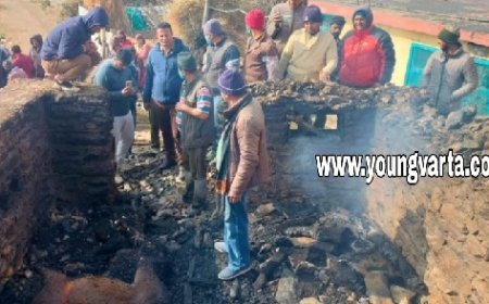 दर्दनाक : चौपाल उपमंडल की नेरवा के बीजमल में भीषण अग्निकांड, हादसे में 3 जर्सी गाय समेत एक बछड़े की मौत