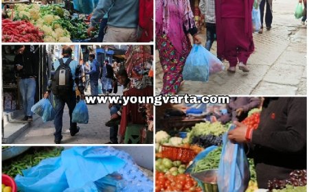 प्रदेश सरकार ने लिया फैसला,इको फ्रेंडली कैरी बैग विकल्पों पर लगाया प्रतिबंध