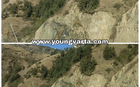 NH 707 सड़क कटिंग के कारण देवदार के पेड़ों को पहुंची क्षति,उचित मुआवज़ा मुहैया करवाए सरकार व प्रशासन 