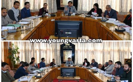 लंबित राजस्व मामलों का तत्परता से निपटारा करें राजस्व अधिकारी :  उपायुक्त