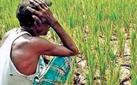 बर्फबारी न होने से किसान-बागवान परेशान, भविष्य के लिए जरूरी कदम उठाने की जरूरत पर जोर 