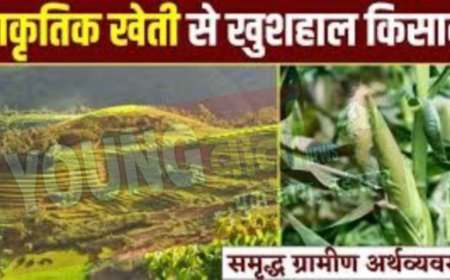 प्राकृतिक खेती से ग्रामीण अर्थव्यवस्था के सुदृढ़ीकरण पर दिया जा रहा बल : मुख्यमंत्री