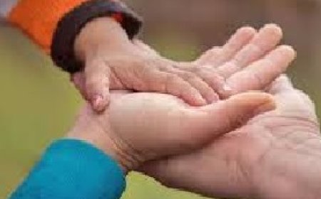 शिमला में दो चिल्ड्रन ऑफ द स्टेट के भावी माता पिता को करवाया दत्तक ग्रहण