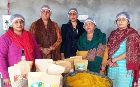 स्वयं सहायता समूहों से जुड़कर आर्थिक रूप से मजबूत बन रही महिलाएं    