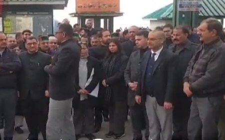 एडवोकेट अमेंडमेंट बिल के खिलाफ वकील हड़ताल पर,चक्कर कोर्ट परिसर में किया प्रदर्शन