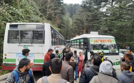 एचआरटीसी बस और प्राइवेट बस में आमने -सामने टक्कर, बसों में सवार सभी सवारियां सुरक्षित 