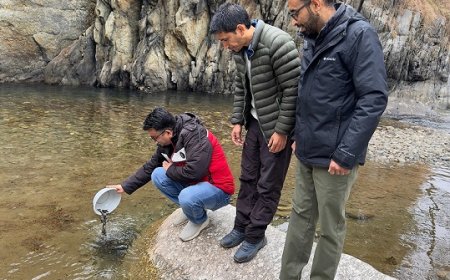 पर्यटन को बढ़ावा देने के लिए उहल नदी में ब्राउन ट्राउट मछली का संग्रहण : विवेक चंदेल