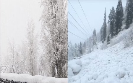 हिमचल प्रदेश कई भागों में तीन दिन बारिश-बर्फबारी का पूर्वानुमान 