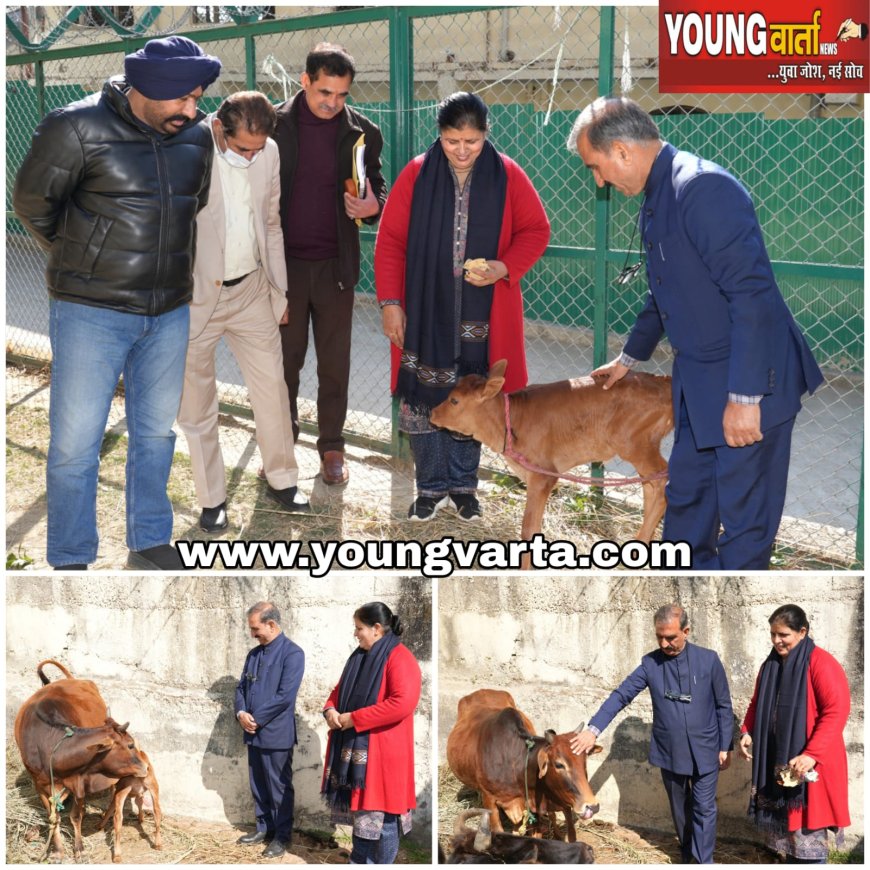 सरकारी चिकित्सा महाविद्यालयों के कॉमन कैडर से सुनिश्चित होगी बेहतर चिकित्सा शिक्षा और गुणवत्तापूर्ण स्वास्थ्य सेवाएं : सीएम