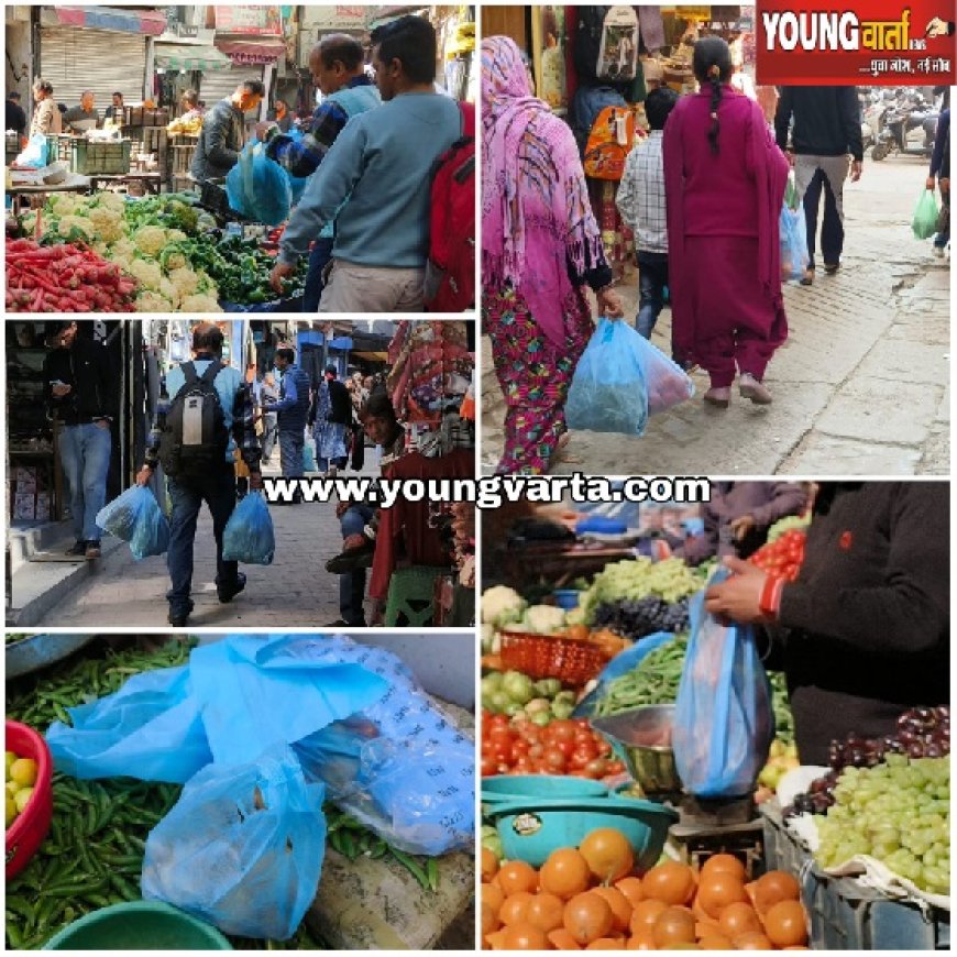 प्रदेश सरकार ने लिया फैसला,इको फ्रेंडली कैरी बैग विकल्पों पर लगाया प्रतिबंध