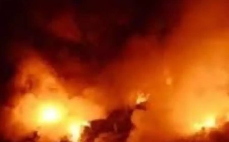 दर्दनाक : शिमला के निजी होटल में भड़की आग, घटना में महाराष्ट्र के पर्यटक की मौत, अन्य दो झुलसे