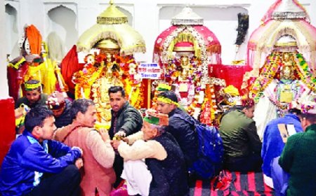 अंतराष्ट्रीय शिवरात्रि महोत्सव में 188 देवी-देवताओं ने राजमाधव मंदिर में भरी हाजिरी