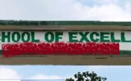 दुर्गम क्षेत्र हरिपुरधार में स्थित  स्कूल को CM स्कूल ऑफ़ एक्सीलेंस में शामिल करने की मांग