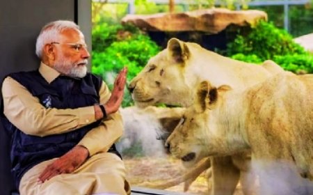 पीएम मोदी ने गुजरात के जामनगर में बचाव और पुनर्वास की अनूठी पहल वनतारा का किया उद्घाटन  