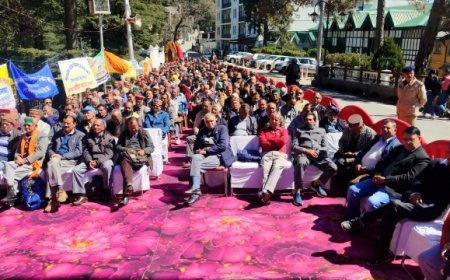 प्रदेश के हजारों करोड़ रुपए और सरकार द्वारा लिया कर्जा गया कहां : घनश्याम