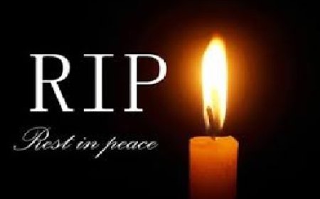 दुःखद : घासनी में घास काटने गई महिला की पहाड़ी से गिरने से मौत 