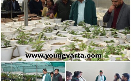 प्रदेश में पुष्प खेती का विस्तार कर बागवानों की आय में वृद्धि करना सरकार की प्राथमिकता :  जगत सिंह नेगी  