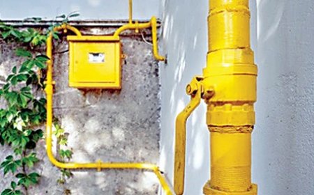 प्रदेश के शहरी क्षेत्रों में अब एलपीजी सिलेंडर की जगह पीएनजी ईंधन करवाया जाएगा मुहैया 