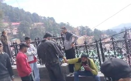 शिमला के रानी झांसी पार्क में नशे में धुत्त तीन युवकों ने जमकर किया हंगामा,वीडियो वायरल 