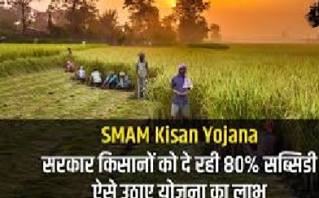 केंद्र सरकार की SMAM योजना का किसान उठा रहे लाभ,पांवटा ब्लॉक को 40 लाख रुपए का मिला बजट