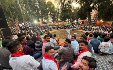 आंवला एकादशी के उपलक्ष्य पर वेदव्यास मंदिर व्यास में मेले ओर दंगल का शानदार आयोजन 