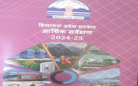 उप मुख्यमंत्री ने हिमाचल प्रदेश विधानसभा सदन में आर्थिक सर्वेक्षण 2024-25 की रिपोर्ट की पेश