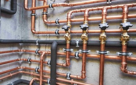 जल शक्ति विभाग के एक पंप हाउस से अज्ञात चोरों ने करीब 1.10 लाख के तांबे के तारों पर साफ किया हाथ 