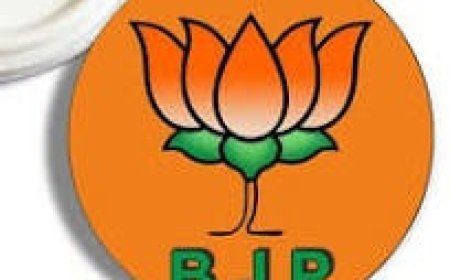 आंकड़ों का मायाजाल है सुक्खू सरकार का बजट , भाजपा नेता बोले, बजट में हर वर्ग की अनदेखी