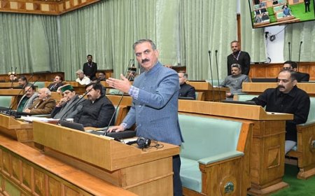 सुक्खू की पंजाब के सीएम भगवंत मान से फोन पर हुई बात,पंजाब में सुरक्षित वातावरण मुहैया कराने का दिया आश्वासन  