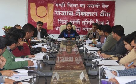 बैंक स्वयं सहायता समूहों को बिना किसी देरी के जारी करें ऋण :  अपूर्व देवगन
