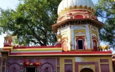 त्रिलोकपुर मेला के दौरान आग्नेयास्त्र, मांस- मछली व तूड़ी ढुलाई वाले वाहनों पर रहेगा प्रतिबंध : जिला दंडाधिकारी