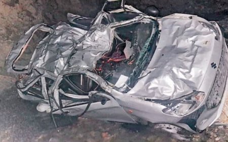 दर्दनाक : शिमला में शोघी-आंनदपुर-मैहली बाईपास पर सड़क हादसे में मां-बेटी समेत चार लोगों की मौत