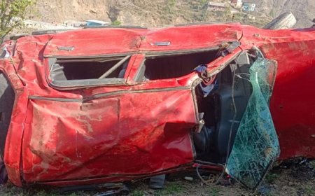 आनियंत्रित होकर गहरी खाई में गिरी कार, हादसे में तीन लोग घायल 