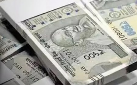 अब टोल टेक्स से ज्यादा कमाएगी सरकार, वेरियरों पर पहले ही दिन से ही दिखने लगा असर , 20 रुपए तक बढ़ाए दाम