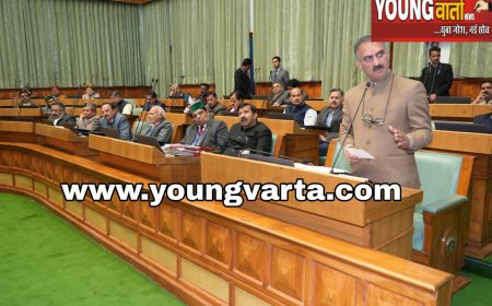 विधवा पुनर्विवाह की प्रोत्साहन राशि 65 हजार से बढ़ाकर की दो लाख रुपये , मुख्यमंत्री सुक्खू ने सदन को करवाया अवगत
