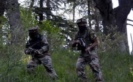 जम्मू रीजन के कठुआ जिले में सुरक्षाबलों और आतंकियों के बीच मुठभेड़ में तीन जवान शहीद 