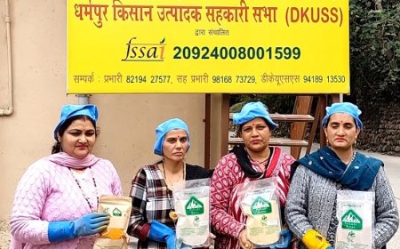 धर्मपुर क्षेत्र की महिलाएं पारंपरिक खेती से हटकर हल्दी उत्पादन से लिख रही सफलता की नई इबारत 