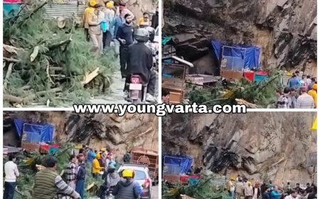 मणिकर्ण गुरुदारा की पार्किंग के समीप सड़क पर गिरा चीड़ बड़ा बृक्ष , हादसे में छह की मौत , कई लोग घायल 